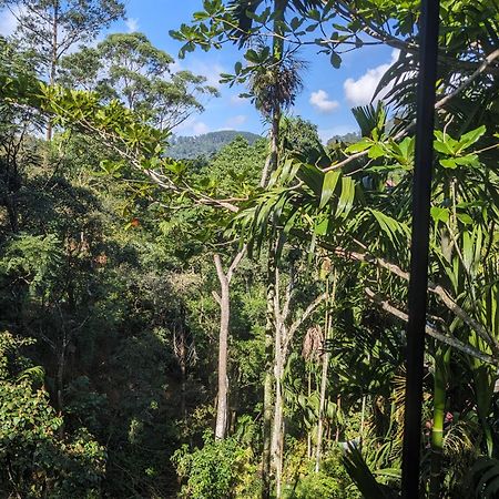 Ella Jungle Inn Homestay And Tree House Extérieur photo