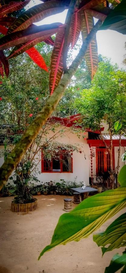 Ella Jungle Inn Homestay And Tree House Extérieur photo