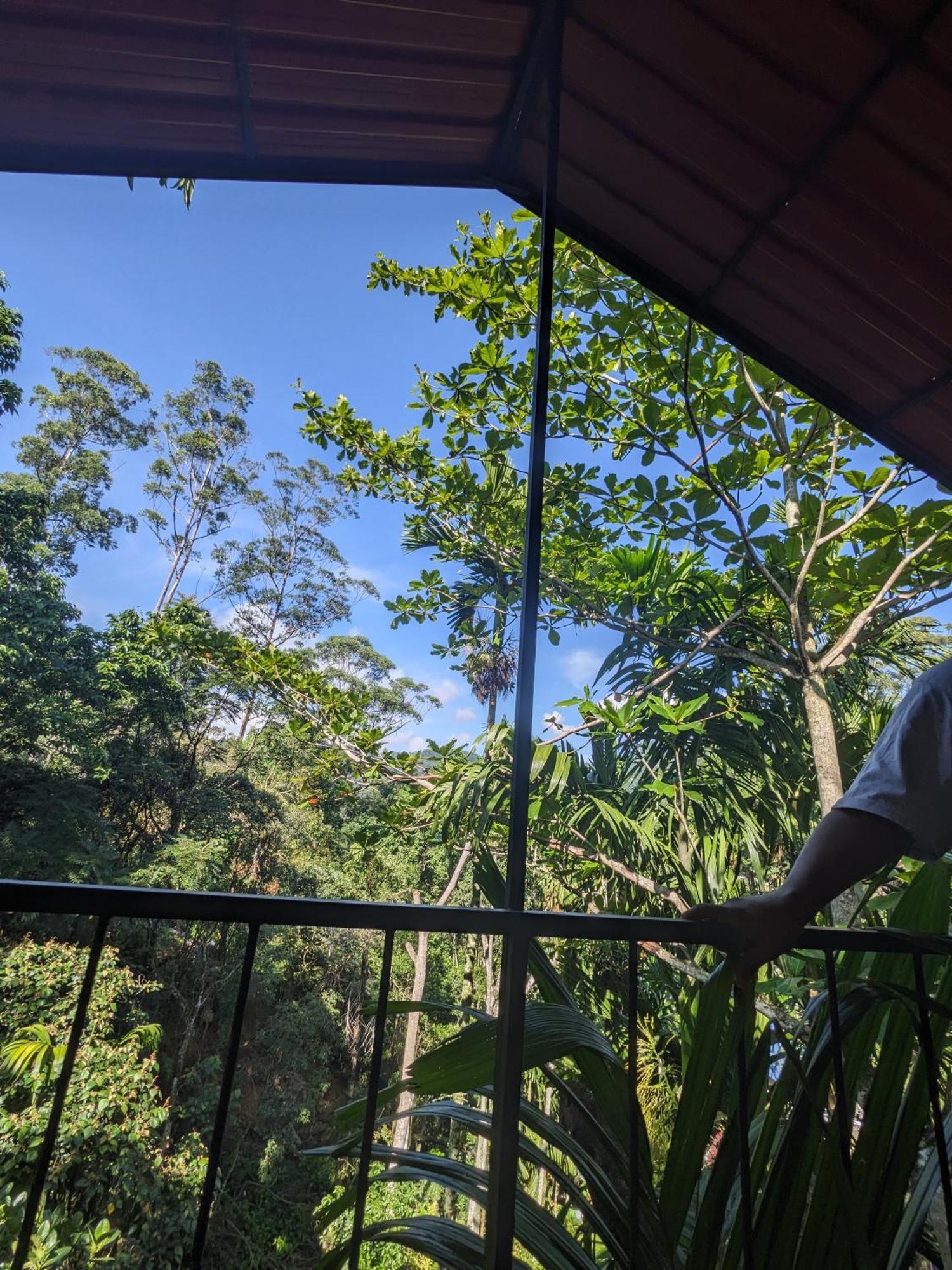 Ella Jungle Inn Homestay And Tree House Extérieur photo