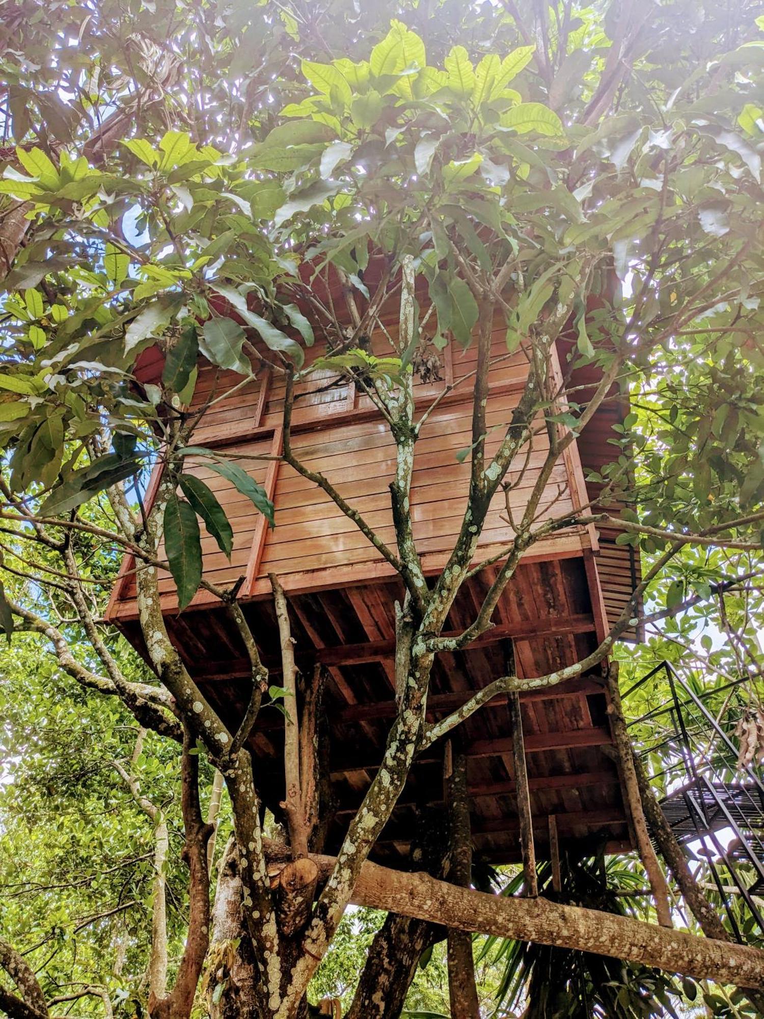 Ella Jungle Inn Homestay And Tree House Extérieur photo