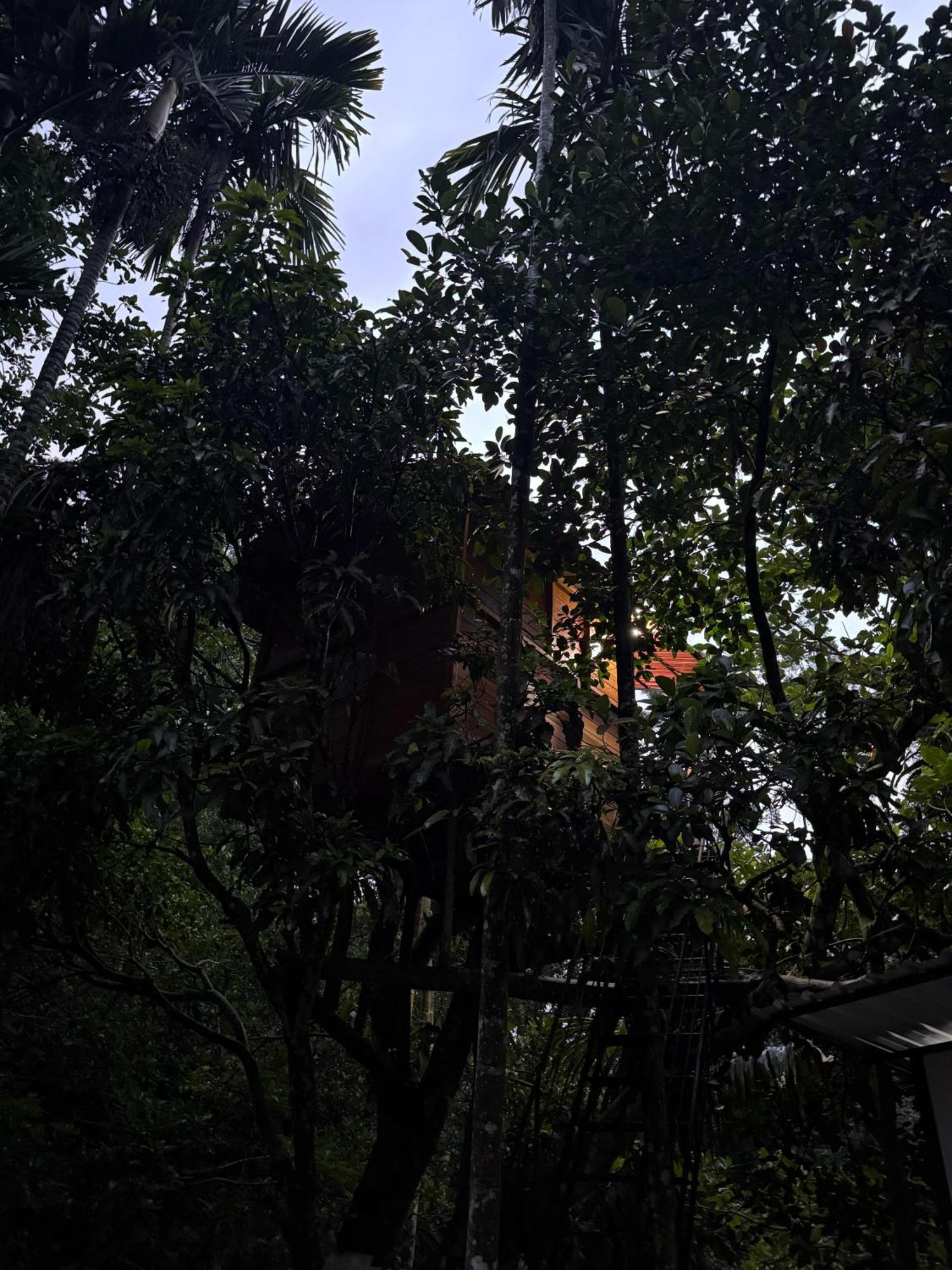 Ella Jungle Inn Homestay And Tree House Extérieur photo