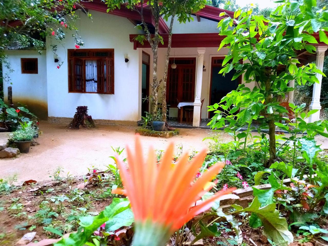 Ella Jungle Inn Homestay And Tree House Extérieur photo