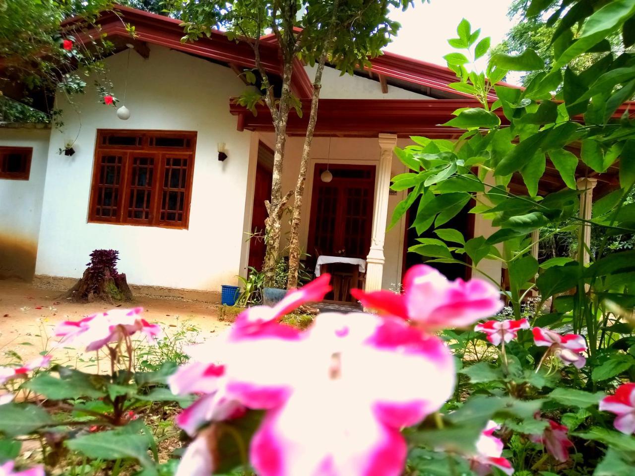 Ella Jungle Inn Homestay And Tree House Extérieur photo