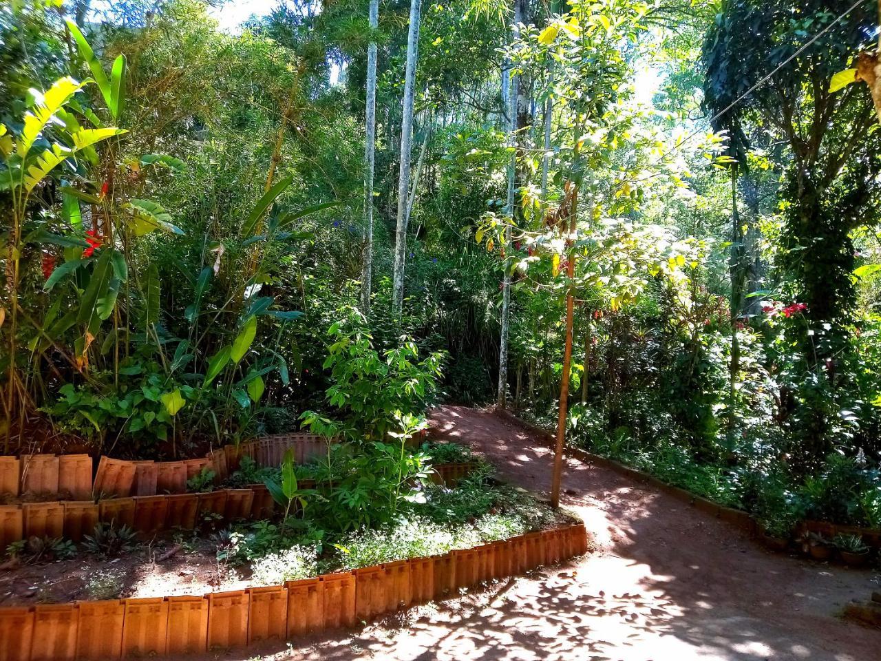 Ella Jungle Inn Homestay And Tree House Extérieur photo