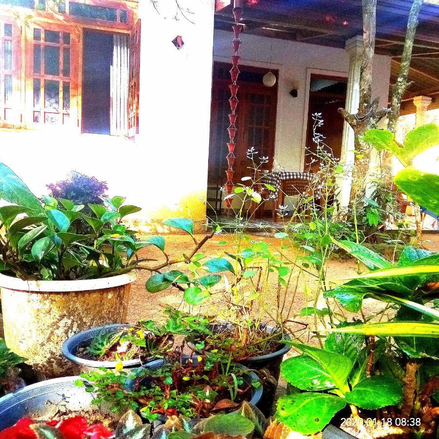 Ella Jungle Inn Homestay And Tree House Extérieur photo